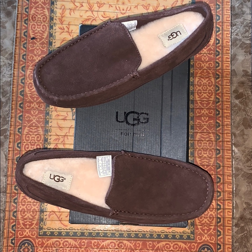 Brand New UGG Alder men’s shoes